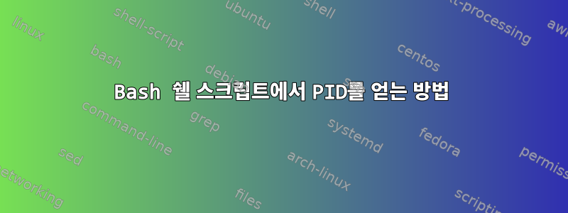 Bash 쉘 스크립트에서 PID를 얻는 방법