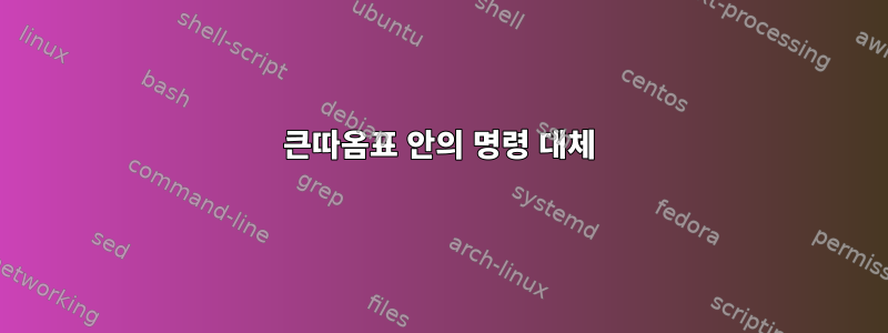 큰따옴표 안의 명령 대체