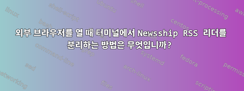 외부 브라우저를 열 때 터미널에서 Newsship RSS 리더를 분리하는 방법은 무엇입니까?