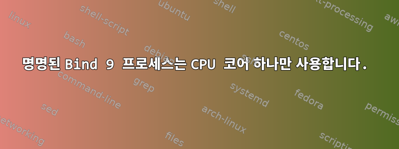 명명된 Bind 9 프로세스는 CPU 코어 하나만 사용합니다.