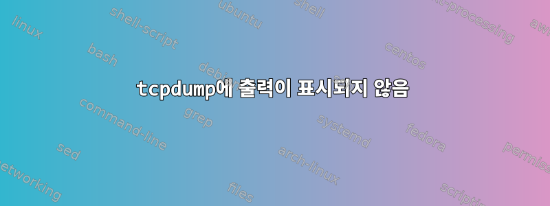 tcpdump에 출력이 표시되지 않음