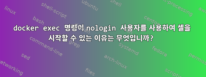 docker exec 명령이 nologin 사용자를 사용하여 셸을 시작할 수 있는 이유는 무엇입니까?