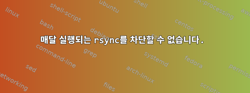 매달 실행되는 rsync를 차단할 수 없습니다.