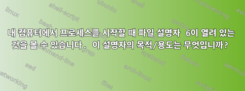 내 컴퓨터에서 프로세스를 시작할 때 파일 설명자 6이 열려 있는 것을 볼 수 있습니다. 이 설명자의 목적/용도는 무엇입니까?