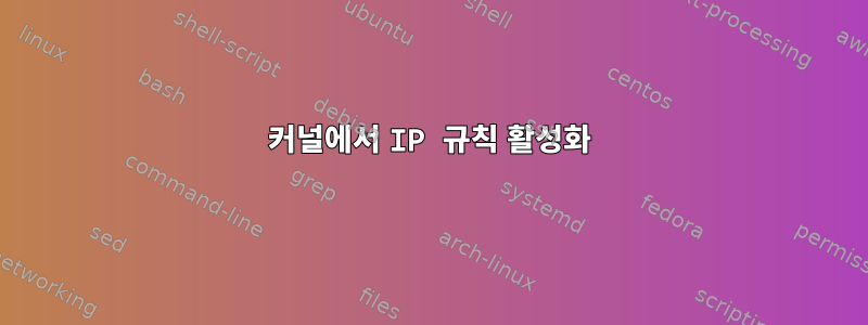 커널에서 IP 규칙 활성화