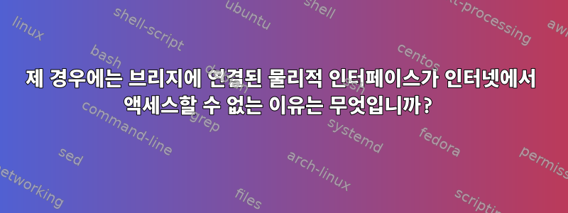 제 경우에는 브리지에 연결된 물리적 인터페이스가 인터넷에서 액세스할 수 없는 이유는 무엇입니까?