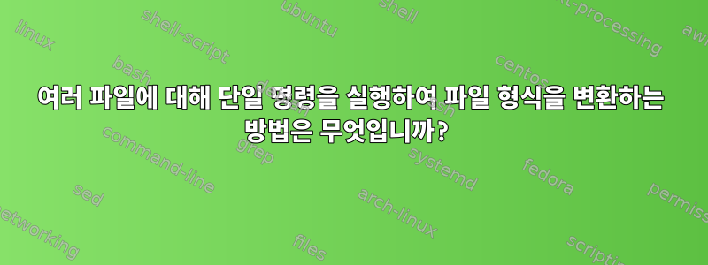 여러 파일에 대해 단일 명령을 실행하여 파일 형식을 변환하는 방법은 무엇입니까?