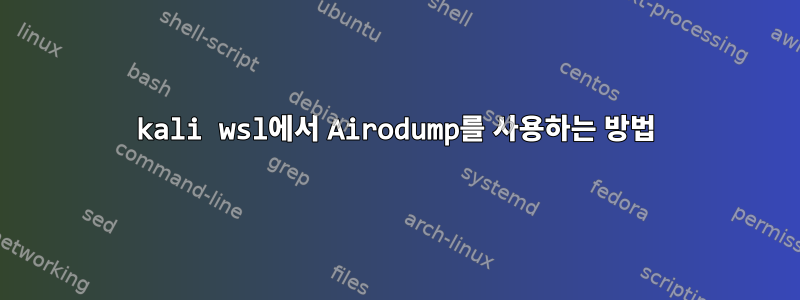 kali wsl에서 Airodump를 사용하는 방법