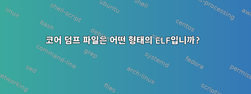 코어 덤프 파일은 어떤 형태의 ELF입니까?