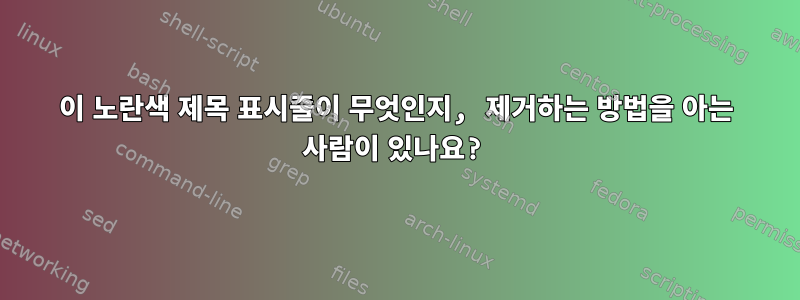 이 노란색 제목 표시줄이 무엇인지, 제거하는 방법을 아는 사람이 있나요?