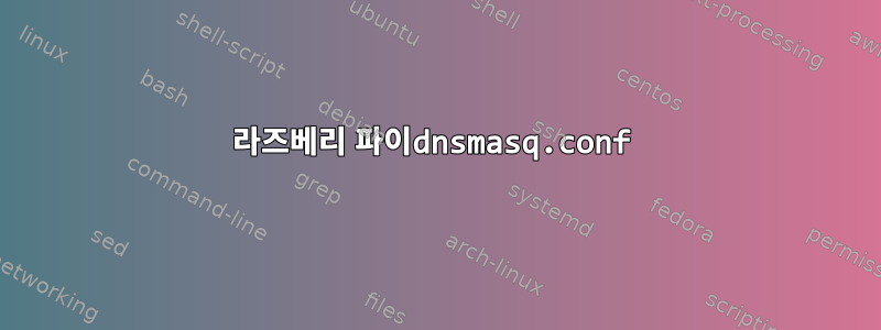 라즈베리 파이dnsmasq.conf