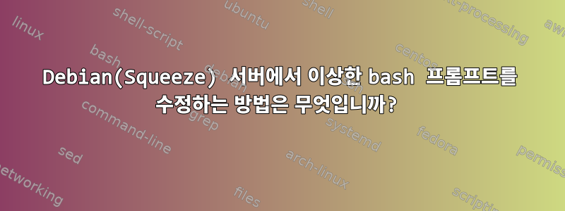 Debian(Squeeze) 서버에서 이상한 bash 프롬프트를 수정하는 방법은 무엇입니까?