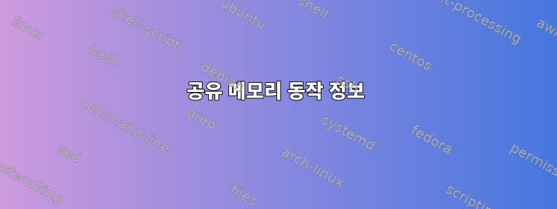 공유 메모리 동작 정보