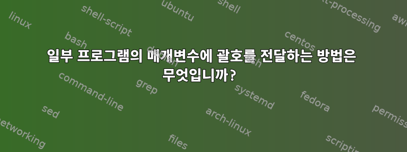 일부 프로그램의 매개변수에 괄호를 전달하는 방법은 무엇입니까?