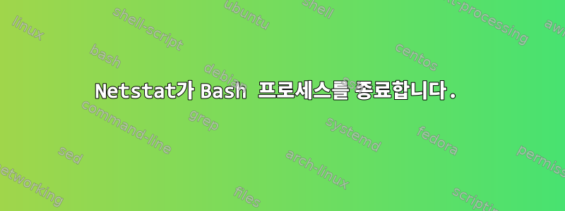 Netstat가 Bash 프로세스를 종료합니다.