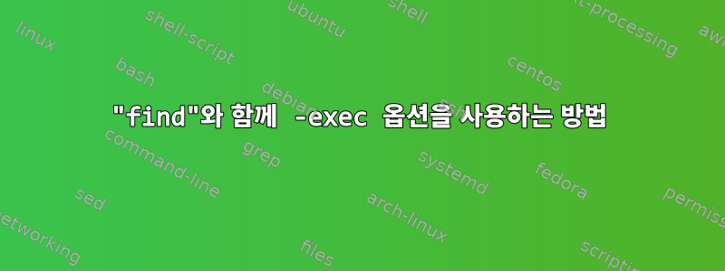 "find"와 함께 -exec 옵션을 사용하는 방법