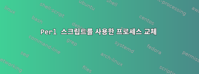 Perl 스크립트를 사용한 프로세스 교체