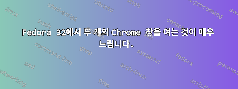 Fedora 32에서 두 개의 Chrome 창을 여는 것이 매우 느립니다.