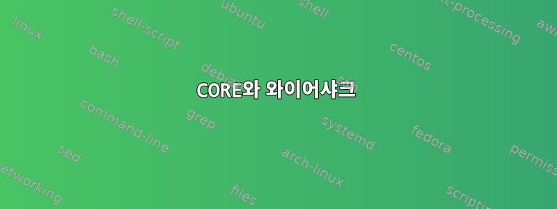 CORE와 와이어샤크