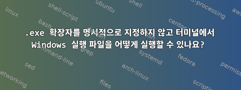 .exe 확장자를 명시적으로 지정하지 않고 터미널에서 Windows 실행 파일을 어떻게 실행할 수 있나요?