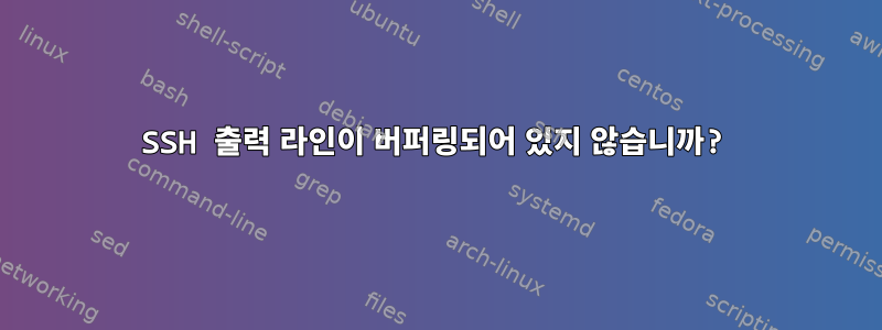 SSH 출력 라인이 버퍼링되어 있지 않습니까?