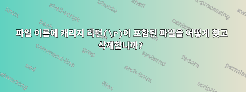 파일 이름에 캐리지 리턴(\r)이 포함된 파일을 어떻게 찾고 삭제합니까?