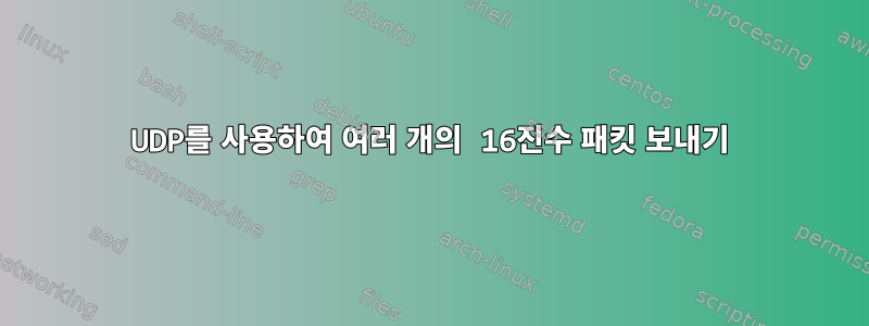 UDP를 사용하여 여러 개의 16진수 패킷 보내기