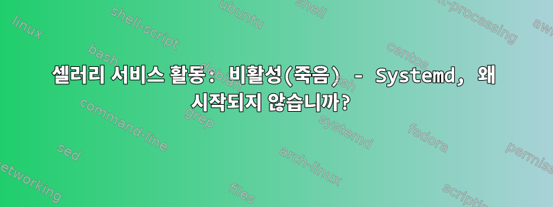 셀러리 서비스 활동: 비활성(죽음) - Systemd, 왜 시작되지 않습니까?