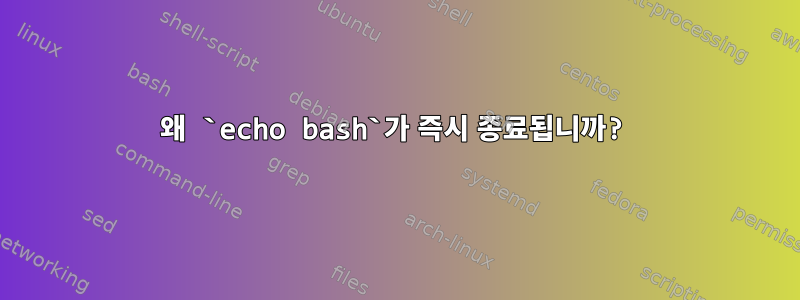 왜 `echo bash`가 즉시 종료됩니까?