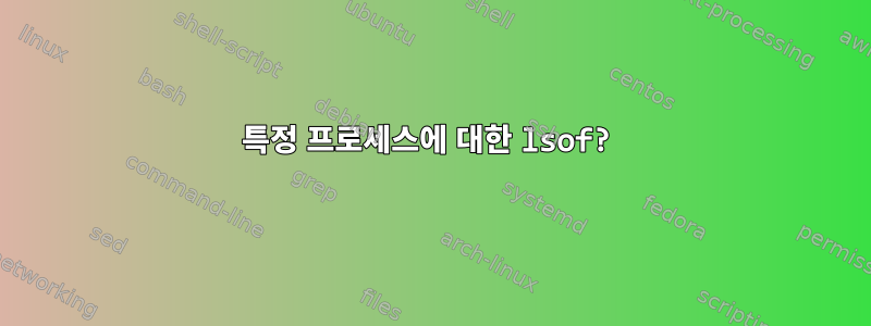 특정 프로세스에 대한 lsof?