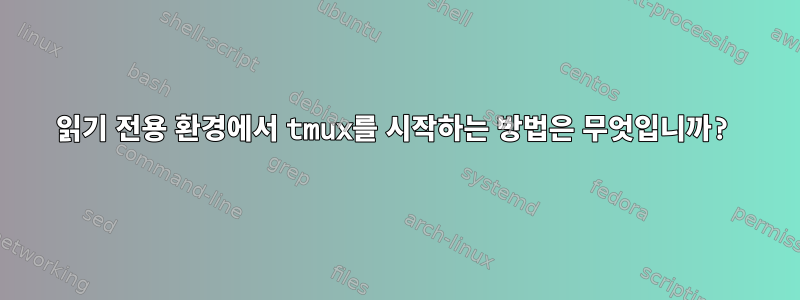 읽기 전용 환경에서 tmux를 시작하는 방법은 무엇입니까?