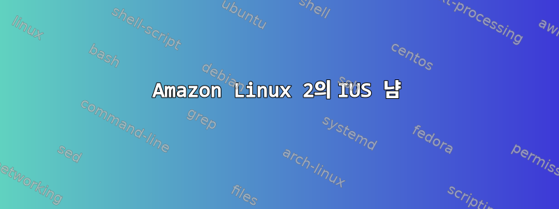 Amazon Linux 2의 IUS 냠