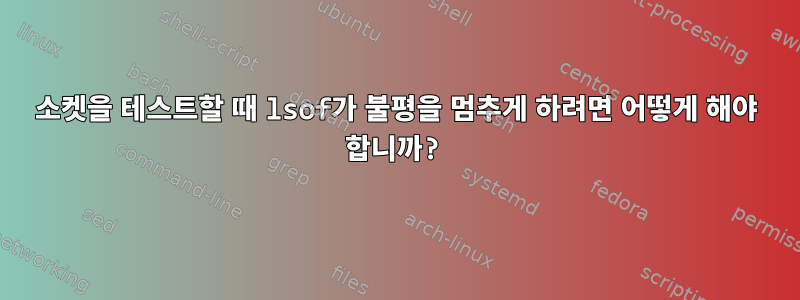 소켓을 테스트할 때 lsof가 불평을 멈추게 하려면 어떻게 해야 합니까?