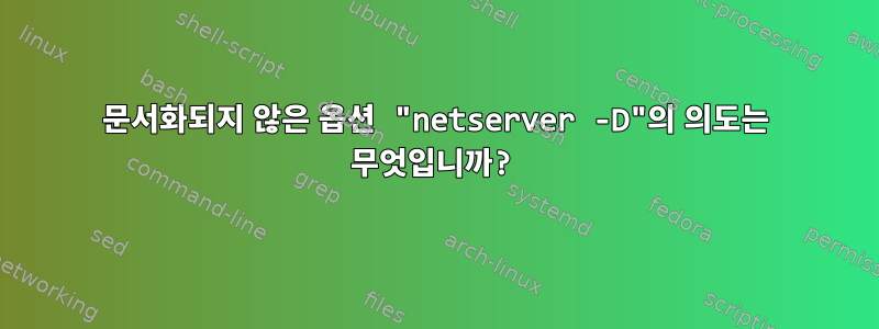 문서화되지 않은 옵션 "netserver -D"의 의도는 무엇입니까?