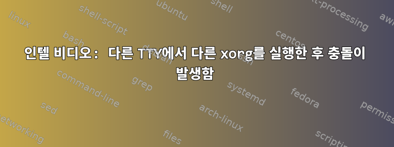 인텔 비디오: 다른 TTY에서 다른 xorg를 실행한 후 충돌이 발생함