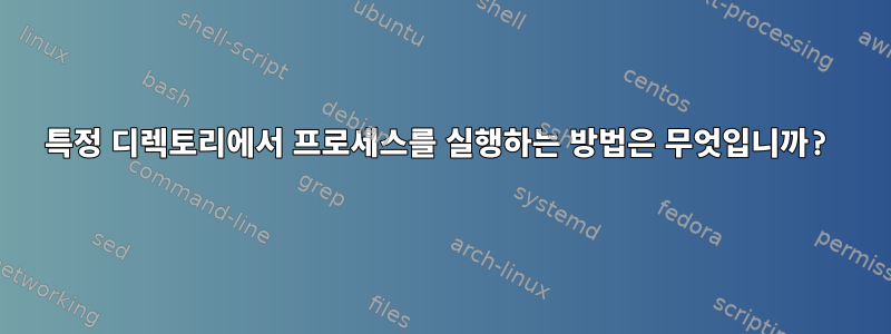 특정 디렉토리에서 프로세스를 실행하는 방법은 무엇입니까?