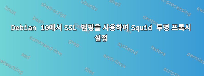 Debian 10에서 SSL 범핑을 사용하여 Squid 투명 프록시 설정