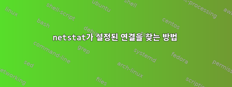 netstat가 설정된 연결을 찾는 방법