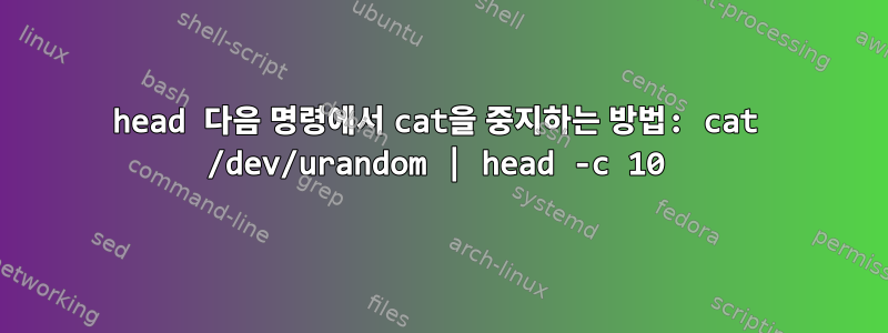 head 다음 명령에서 cat을 중지하는 방법: cat /dev/urandom | head -c 10