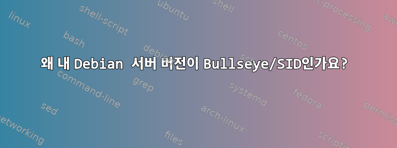 왜 내 Debian 서버 버전이 Bullseye/SID인가요?