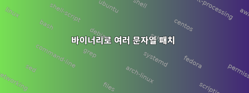 바이너리로 여러 문자열 패치