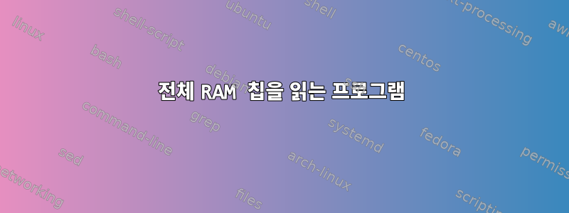 전체 RAM 칩을 읽는 프로그램