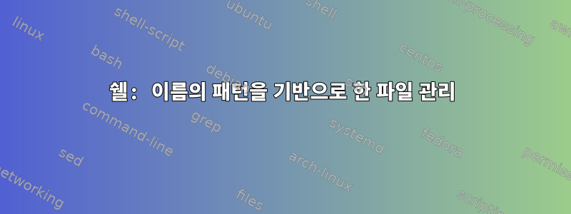 쉘: 이름의 패턴을 기반으로 한 파일 관리