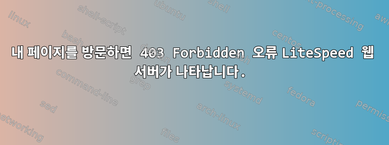 내 페이지를 방문하면 403 Forbidden 오류 LiteSpeed ​​​​웹 서버가 나타납니다.