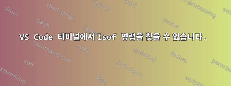 VS Code 터미널에서 lsof 명령을 찾을 수 없습니다.