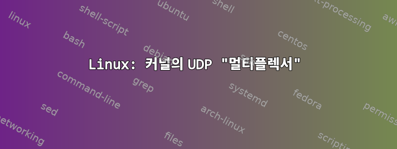 Linux: 커널의 UDP "멀티플렉서"