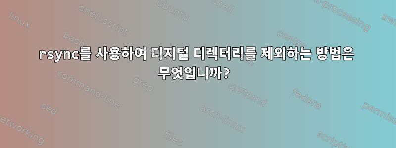 rsync를 사용하여 디지털 디렉터리를 제외하는 방법은 무엇입니까?