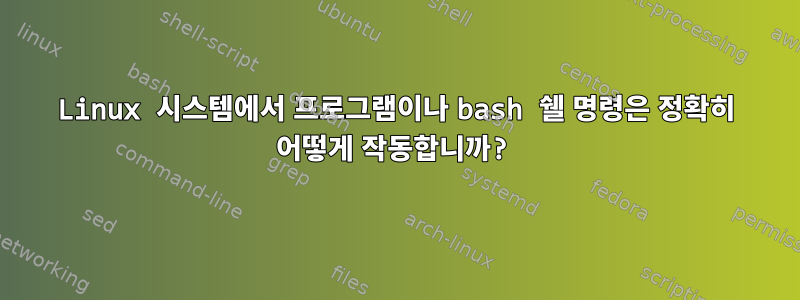 Linux 시스템에서 프로그램이나 bash 쉘 명령은 정확히 어떻게 작동합니까?