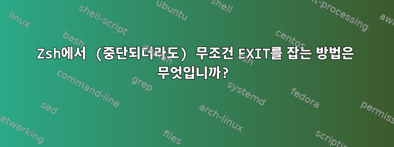 Zsh에서 (중단되더라도) 무조건 EXIT를 잡는 방법은 무엇입니까?