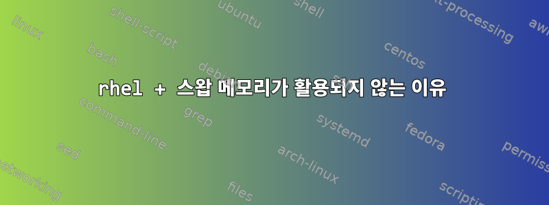 rhel + 스왑 메모리가 활용되지 않는 이유